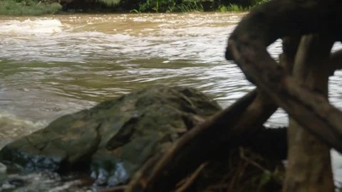 Small waves of a stream Stock Footage 80445268