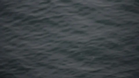 Small waves on the surface of a deep green water Stock Footage 72602802