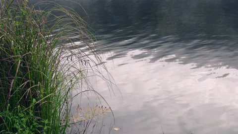 Small waves on surface of lake Stock Footage 145574025