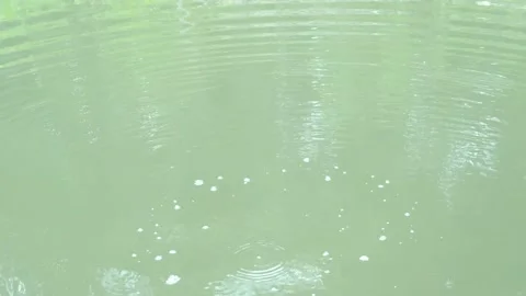 Small Waves On The Surface Of The Water Stock Footage 154648089