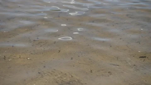 Small waves on the surface of the water. Stock Footage 273949528
