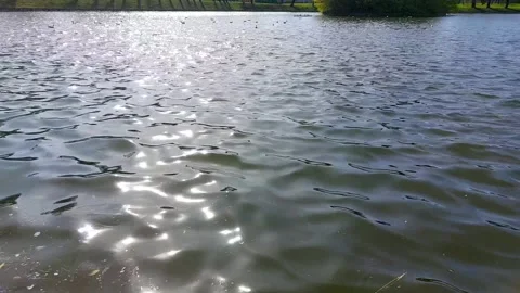 Small waves on the surface of the water. Reflection of the sun's rays in the Stock Footage 240765397
