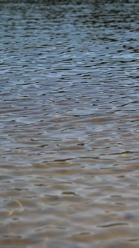 Small waves on the surface of the water. shiny river surface Stock Footage 332350698