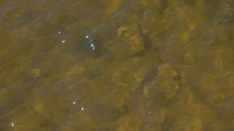 Small waves on the surface of the water,  stones at the bottom. Stock Footage 119280047