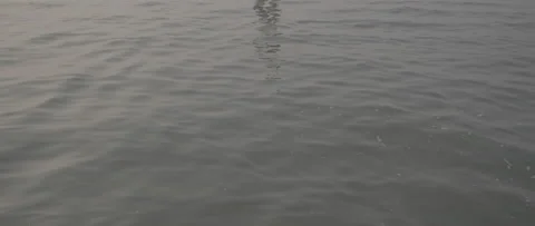 Small waves in Venice Stock-Footage 170904218