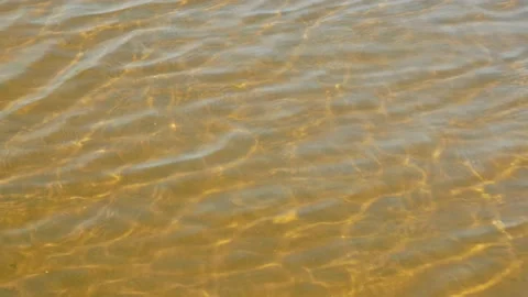 Small waves of water over the sandy golden seabed Stock Footage 139850160