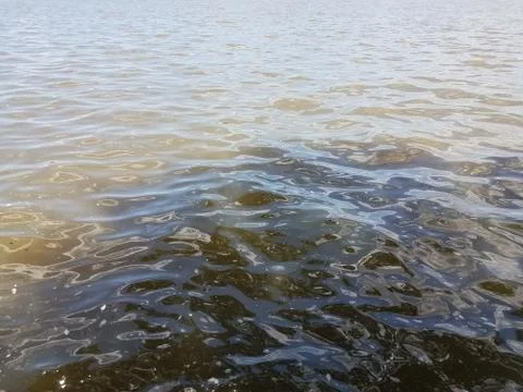 Small waves in the water Stock Photos