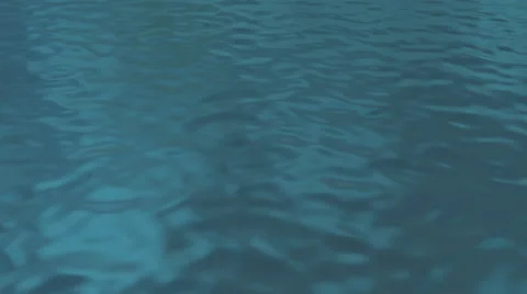 Small waves on the water surface Vídeo Stock 50310780