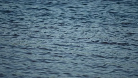 Small waves on water surface. Stock Footage 155705624