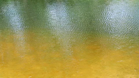 Small waves on the water on the surface in a lake pond river in summer Stock Footage 160565121