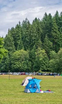 Small weekend camping installed on green lawn in a park Stock Photos