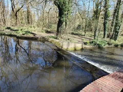 Small weir on a river, set within a wooded area of a park 库存照片