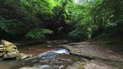 Small weir at Saltburn Gill 스톡 동영상 245816732