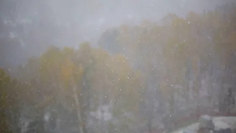 Small wet snowflakes falling over parking. Stock Footage 77437883