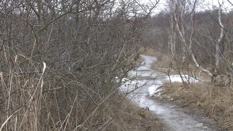 Small wet trail Stock Footage 87507256