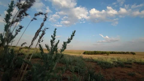 Small white airplane flying over grassy steppe landscape Видео 347973159