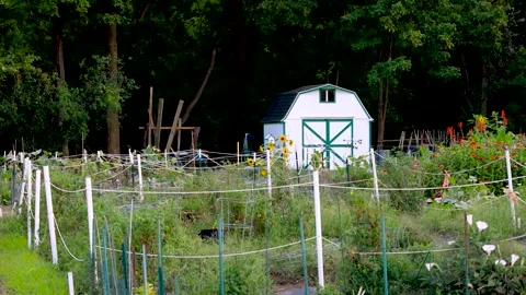 Small white barn in the middle of vegetable farm in Michigan Stock Footage 283855221