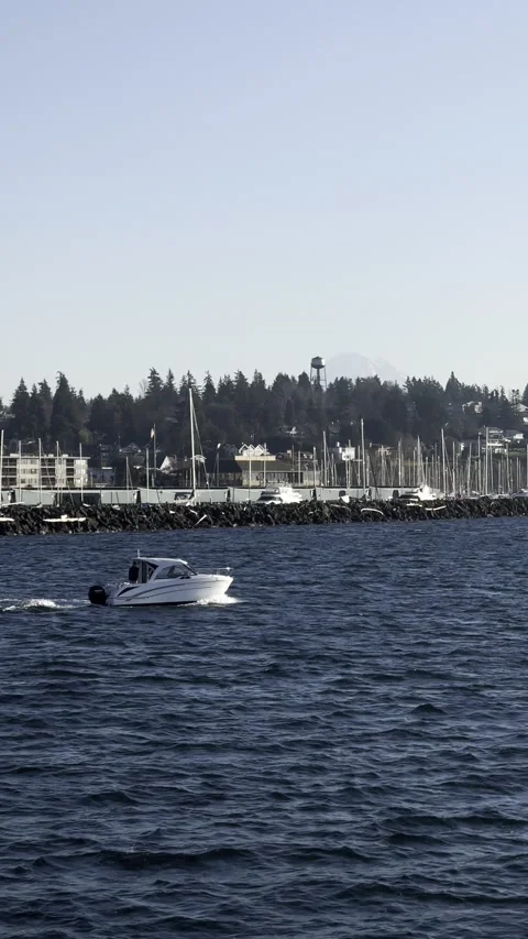 A small white boat slowly sails near the shore in the Marina Stock Footage 241004833