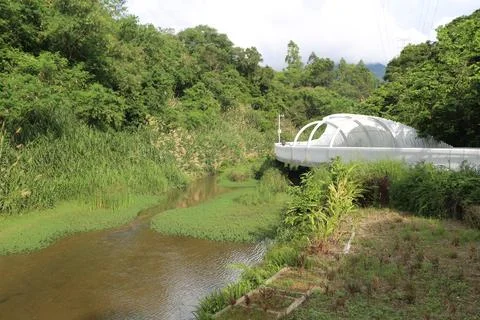 A small white bridge spans the stream, surrounded by green vegetation and w.. Stock Photos