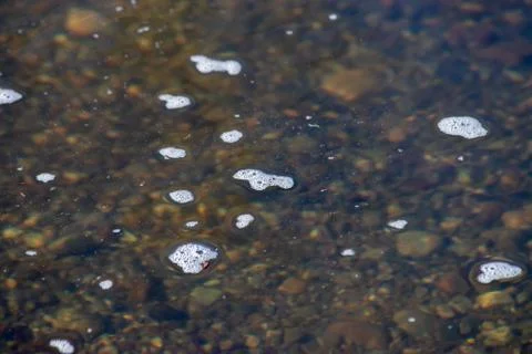 Small white bubbles on a river surface Stock Photos