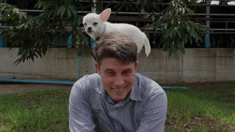 A small white dog yawning while playing on the back of his happy male owner Stock Footage 246949443