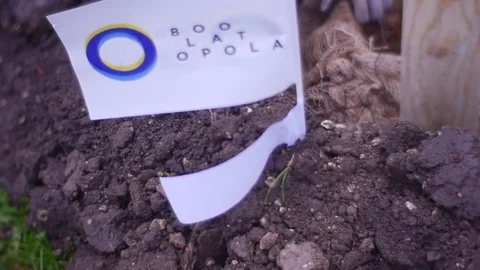 Small White Flag is Immersed Into a Soft Ground Stock Footage