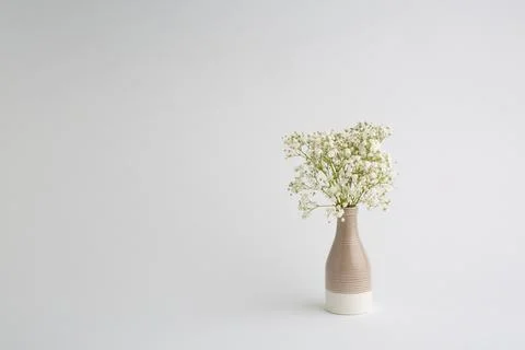 Small white flowers on a white background. Soft home decor. White flowers in Stock Photos
