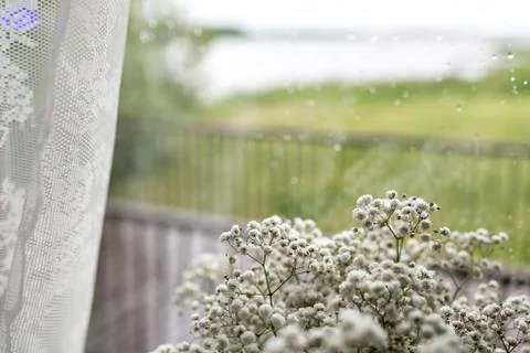 Small white flowers on a window background. Soft home decor. White Gypsophila Foto stock