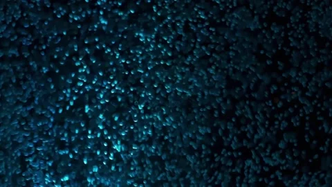 Small white foam balls fly in the dark Video stock 165993798