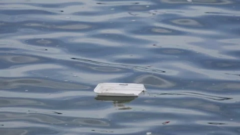 A small white foam container floats on calm water with soft ripples and reflecti Stock Footage 341395021