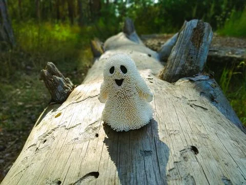 A small white ghost toy that smiles and stands on an old dry tree sulit Stock Photos