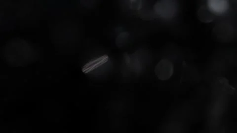 Small white light bokeh video Видео 318063665