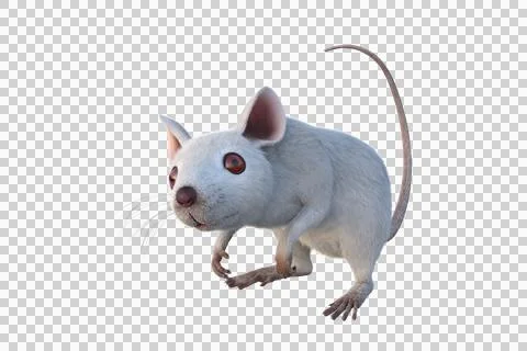 Small white mouse 3D illustration isolated on transparent background. Stock Illustration
