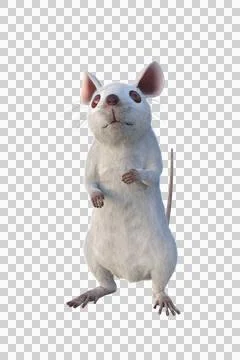 Small white mouse 3D illustration isolated on transparent background. Stock Illustration