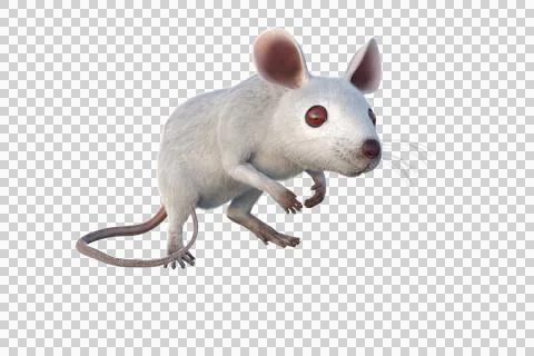 Small white mouse 3D illustration isolated on transparent background. Illustrazione stock