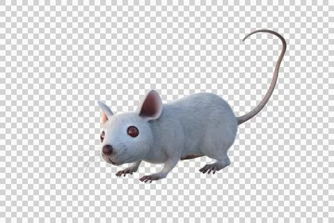 Small white mouse 3D illustration isolated on transparent background. Stock Illustration
