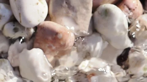Small white pebbles and sea waves Stock Footage 293157623