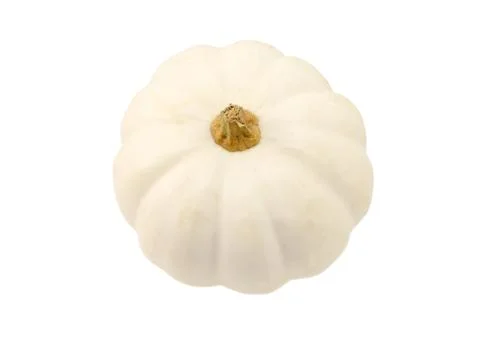 Small white pumpkin Stock Photos