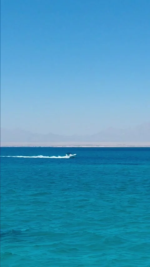 Small white speedboat cruising fast across blue sea with foam wake in Egypt Stock Footage 341348449