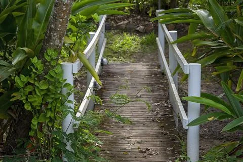 Small White Timber Bridge Stock Photos
