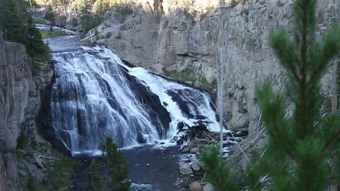 Small wide waterfall in Yellowstone. Focus changes from a tree to the waterfall Stock Footage 122629289