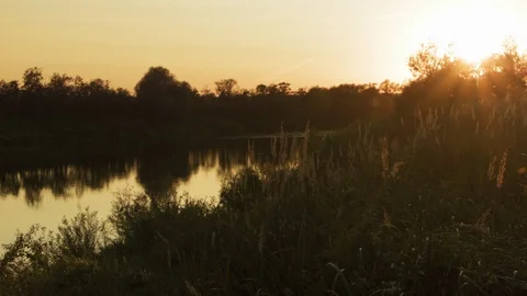 Small wild flat river at sunset. Timelapse Stock Footage 129640800