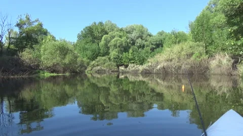 Small wild river, thicket Video stock 90787713