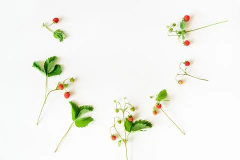 Small wild strawberry Stock Photos