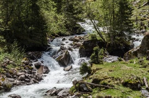 Small wild stream Stock Photos