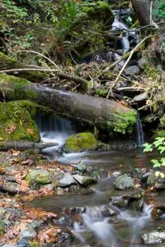Small wilderness waterfall Stock Photos