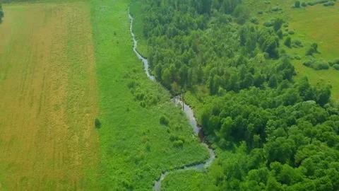 Small winding river in summer landscape. AERIAL landscape. Stock Footage 156947759