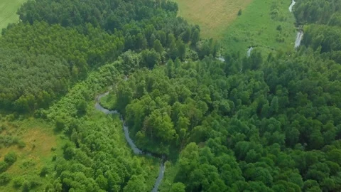 Small winding river in summer landscape. AERIAL landscape. Stock Footage 156947777