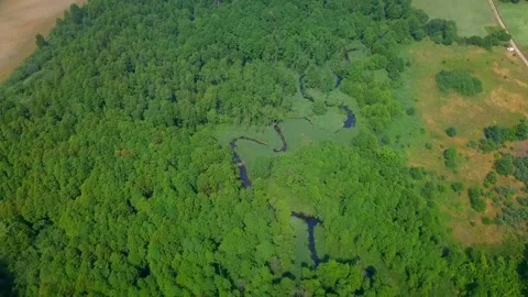 Small winding river in summer landscape. AERIAL landscape. Stock Footage 156947892