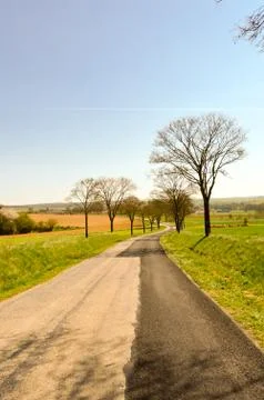 Small winding road Stock Photos